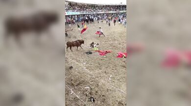 Pokus o přeskočení býka