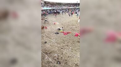 Pokus o přeskočení býka