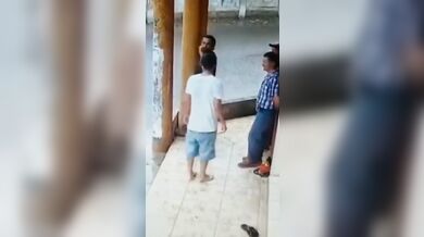 Vtipný konflikt dvou agresorů