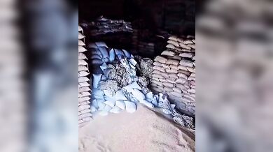 Smrtelná nehoda ve skladu v Indii