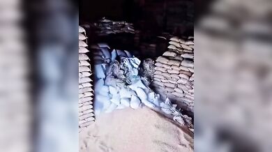 Smrtelná nehoda ve skladu v Indii