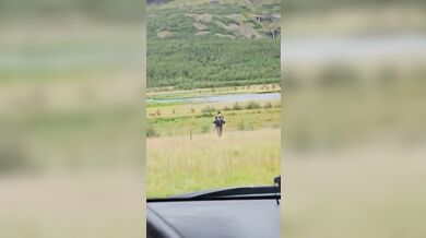 Rybář elektrikář