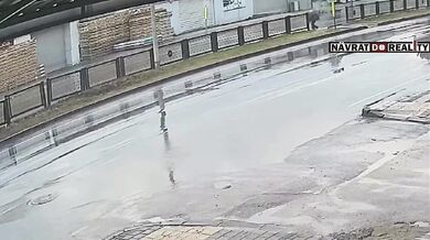 Smrtelná nehoda na přechodu pro chodce v turecké Adaně