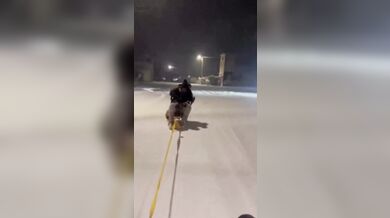 Děsivá nehoda při jízdě na saních