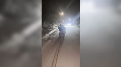 Děsivá nehoda při jízdě na saních