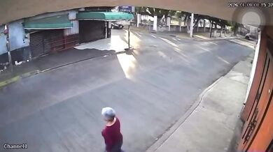 Po útoku na seniorku úřady v mexickém Cuautle odeberou z domu 30 zvířat