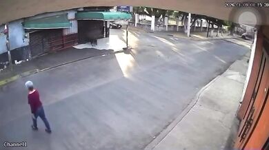 Po útoku na seniorku úřady v mexickém Cuautle odeberou z domu 30 zvířat