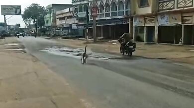 Opice nesnášející motorkáře