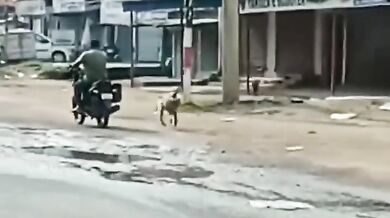 Opice nesnášející motorkáře