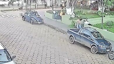 Ženu v centru města zasáhla padající větev stromu