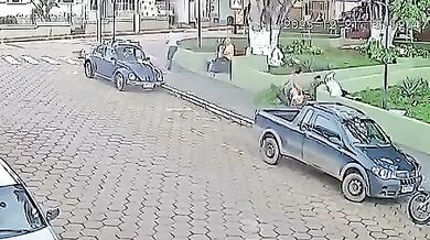 Ženu v centru města zasáhla padající větev stromu