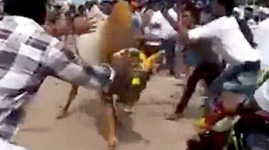 Mezitím na indickém festivalu...