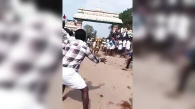 Mezitím na indickém festivalu...