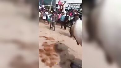 Mezitím na indickém festivalu...