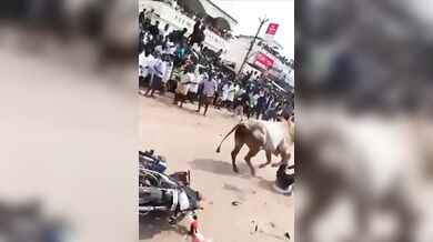 Mezitím na indickém festivalu...