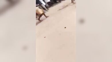 Mezitím na indickém festivalu...