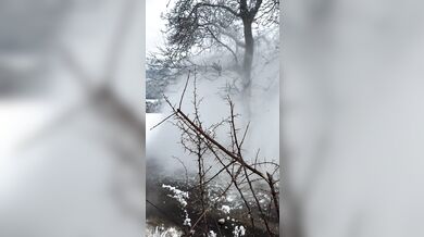 Sami Pajari skončil havárií na Rallye Monte-Carlo 2026 a musel odstoupit