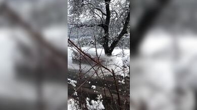 Sami Pajari skončil havárií na Rallye Monte-Carlo 2026 a musel odstoupit