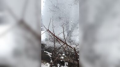 Sami Pajari skončil havárií na Rallye Monte-Carlo 2026 a musel odstoupit