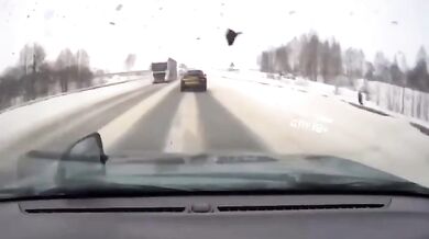 Tragická dopravní nehoda si vyžádala životy všech čtyř členů posádky osobního automobilu