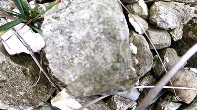 Mrazivé záběry basejumpera, kterému se včas neotevřel padák