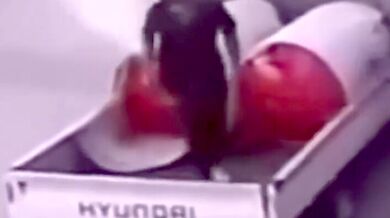 Stylové vyskočení z nákladního vozidla