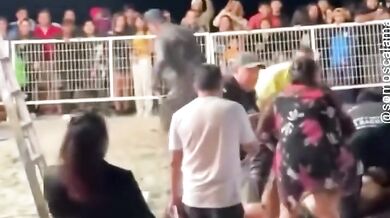 Soutěž „guatazos“ v chilském Mejillones málem skončila tragédií