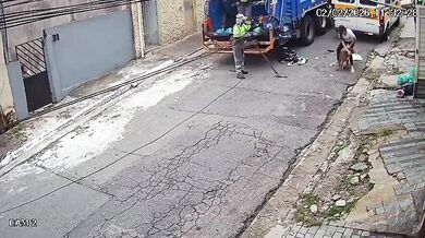 Útok psa při svozu odpadu zranil popeláře