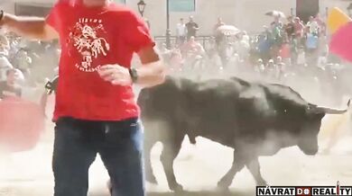 Útok býka si vyžádal jeden lidský život a jedno těžké zranění