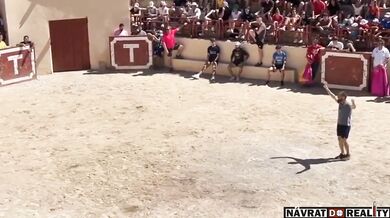 Útok býka si vyžádal jeden lidský život a jedno těžké zranění