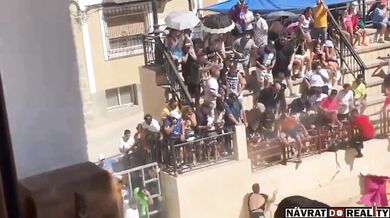 Útok býka si vyžádal jeden lidský život a jedno těžké zranění