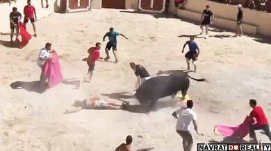 Útok býka si vyžádal jeden lidský život a jedno těžké zranění