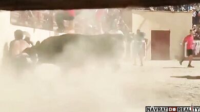 Útok býka si vyžádal jeden lidský život a jedno těžké zranění