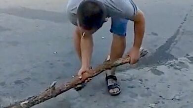 Testování tvrdosti dřeva