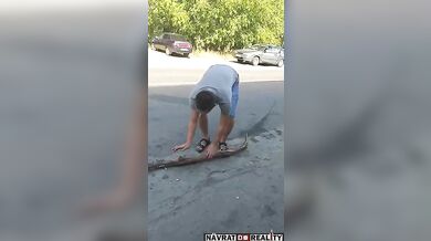 Testování tvrdosti dřeva