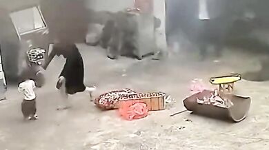 Dítě se nudilo při hraní s kočkou