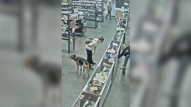 Žena se pokusila o krádež střelné zbraně