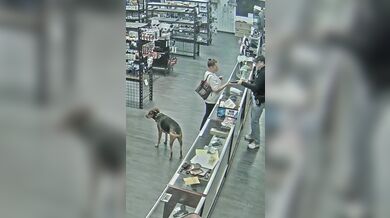 Žena se pokusila o krádež střelné zbraně