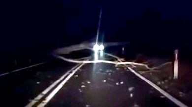 Řidič včas nezastavil před spadnutým stromem