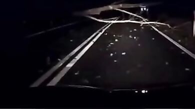 Řidič včas nezastavil před spadnutým stromem