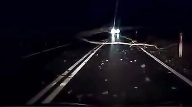 Řidič včas nezastavil před spadnutým stromem