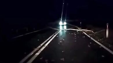 Řidič včas nezastavil před spadnutým stromem