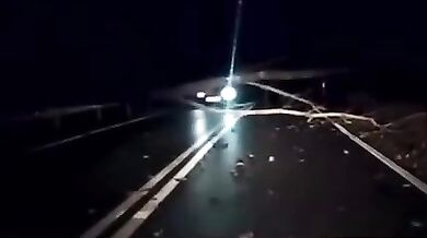 Řidič včas nezastavil před spadnutým stromem