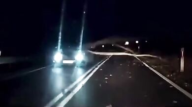 Řidič včas nezastavil před spadnutým stromem