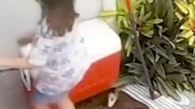 Krajta kobercová zaútočila na dítě