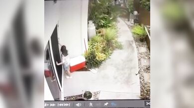 Krajta kobercová zaútočila na dítě