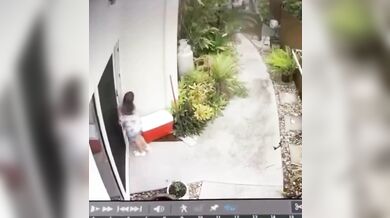 Krajta kobercová zaútočila na dítě