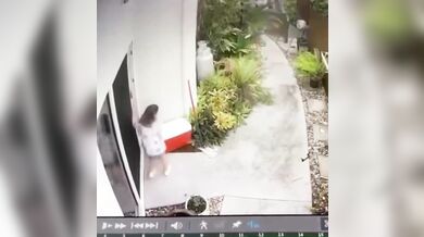 Krajta kobercová zaútočila na dítě