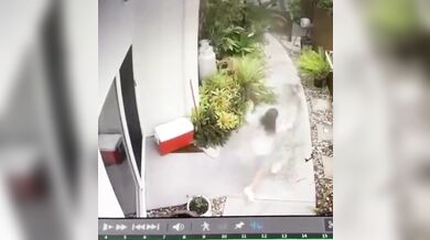 Krajta kobercová zaútočila na dítě