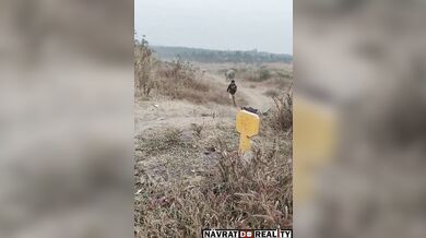 Napadený agresivním slonem